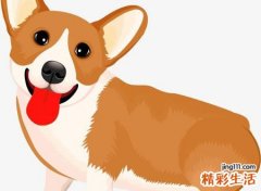 梦见拉粑粑预示什么，做梦梦到在厕所拉粑粑给狗吃