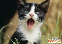 梦见分尸是什么意思，做梦梦到碎尸案现场