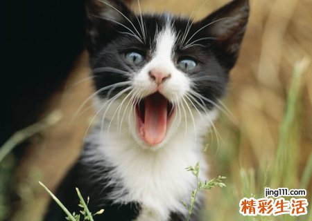 梦见分尸是什么意思，做梦梦到碎尸案现场