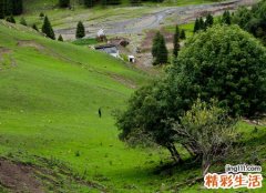 梦见别人杀人见血预示什么，做梦梦到目睹别人拿刀捅人