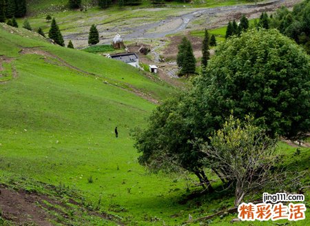 梦见别人杀人见血预示什么，做梦梦到目睹别人拿刀捅人