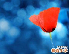 优雅的网名，最新好听的优雅昵称