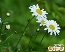 扣扣网名，最新好听的扣扣昵称