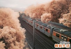 主流网名，最新好听的主流昵称