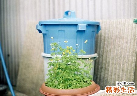 个性qq网名，最新好听的个性qq昵称