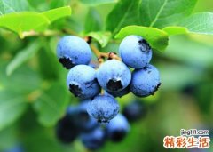个性网名大全，最新好听的个性昵称