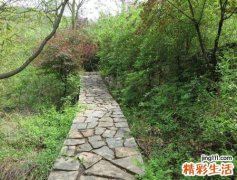 梦见迷路是什么意思，做梦梦到自己迷路了到处跑