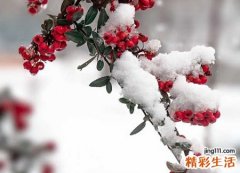 唯美昵称，最新好听的唯美名字