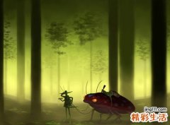 梦见迷路了有什么预兆，做梦梦到在陌生的村庄迷路