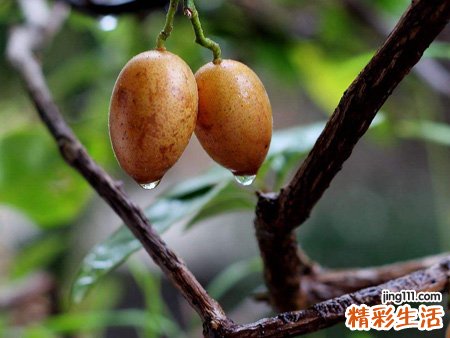 qq网名，最新好听的qq昵称