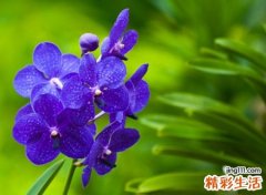 三字网名，最新好听的三字昵称