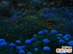 超贱网名，最新好听的超贱昵称