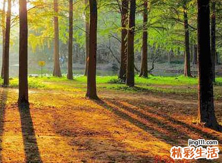 梦见迷路了好吗，做梦梦到自己迷路向别人问路