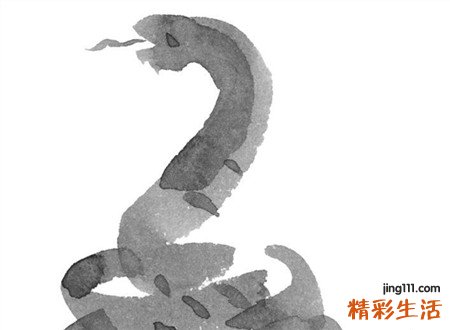 梦见蛇有什么寓意，梦到蛇一动不动
