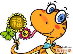 梦见彩色的蛇有什么预兆，女人梦到七彩蛇