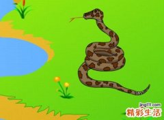 梦见两条大蟒蛇好吗，男人梦到两条大蟒蛇