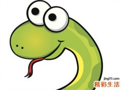 梦见蛇怎么回事，梦里猫和蛇战斗