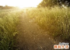 三个字古风唯美的个性名字，好听有意境的微信网名
