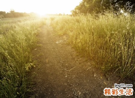 三个字古风唯美的个性名字，好听有意境的微信网名