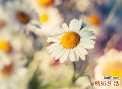 古风有韵味的唯美名字，清冷孤傲的罕见微信网名