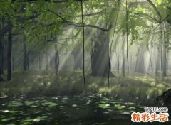 唯美凄凉的古风网名，经典有内涵的微信昵称