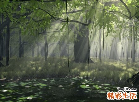 唯美凄凉的古风网名，经典有内涵的微信昵称