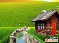 典雅有内涵的的诗意昵称，淡淡古风气息的微信网名