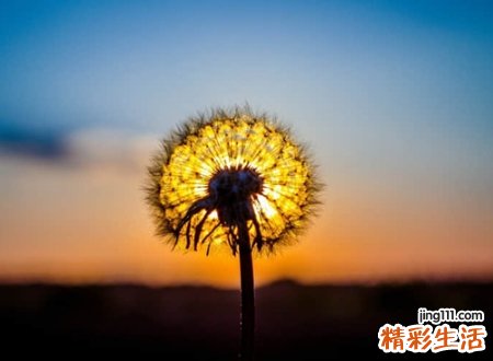 简单暖心的正能量网名，阳光励志心态好的微信名字