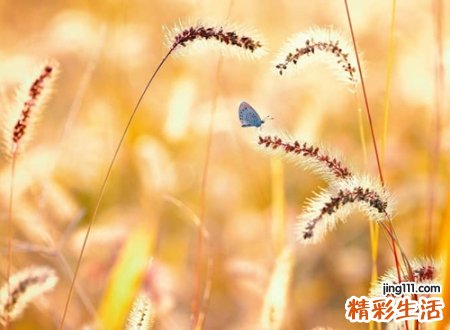 独具风格的个性搞笑网名，吸引人的特异微信昵称