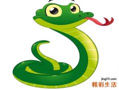 晚上梦见蛇预示什么，男人梦到蛇好不好