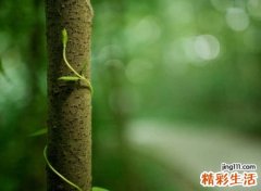 心情压抑的伤心网名，失落失望的微信伤感名字
