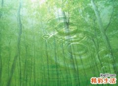 带雨字的微信昵称，独一无二的带雨字微信网名