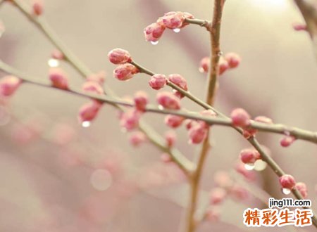 最热门的微信个性昵称，简单好听的经典网名