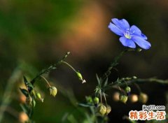小清新好听的个性昵称，比较独特有吸引力的网名