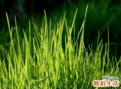 唯美好听的个性名字，好听又难忘的经典网名