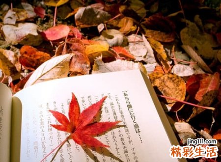 优雅脱俗的扣扣个性昵称，有书香文艺气息的网名