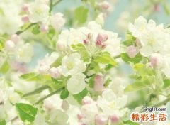 简单的四字微信个性网名，4个字最时尚的微信昵称