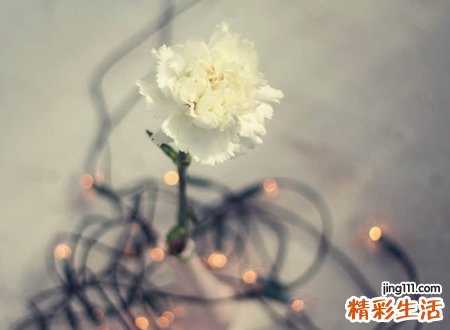 有个性的空间昵称，超拽好听的空间网名
