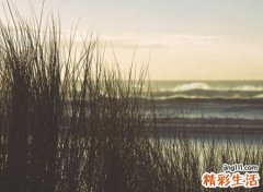 伤感的微信个性网名，忧伤抑郁的颓废昵称