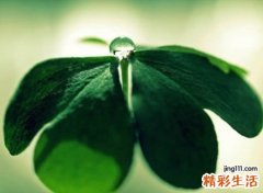 简单的个性网名，霸气有内涵的气质昵称