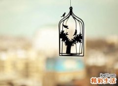 悲伤忧郁的个性昵称，高冷孤独的微信寂寞网名