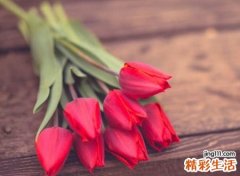 好听有个性的爱情昵称，简单吸粉受欢迎的抖音网名