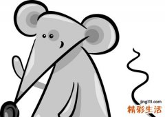 梦见被老鼠咬好不好，做梦梦到老鼠扑上来咬自己