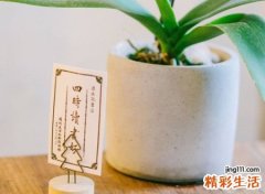 好听又福气顺利的网名，幸运吉祥寓意的招财昵称