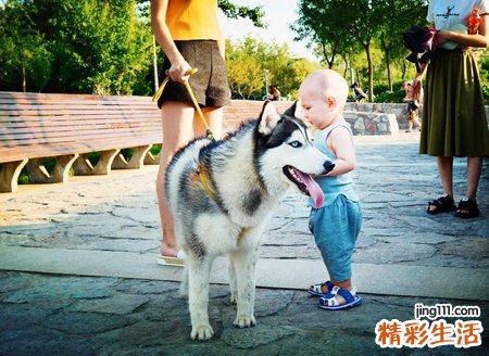 梦见狗咬人预示什么，做梦梦到狗好猛的咬别人