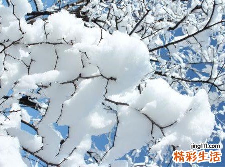 梦见打雪仗好不好，夏天梦见打雪仗