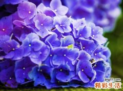 梦见撞死人是什么意思，梦到别人撞死人了