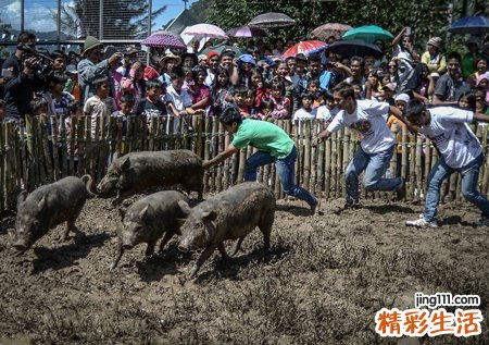 梦见杀猪有什么寓意，做梦梦到杀猪鲜血直流