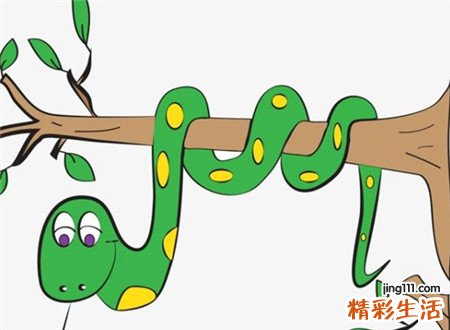 孕妇梦见蛇有什么预兆，孕妇梦到又细又小的蛇