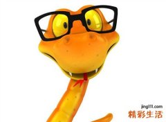 梦见彩色的蛇好吗，做梦梦到很漂亮的七彩蛇